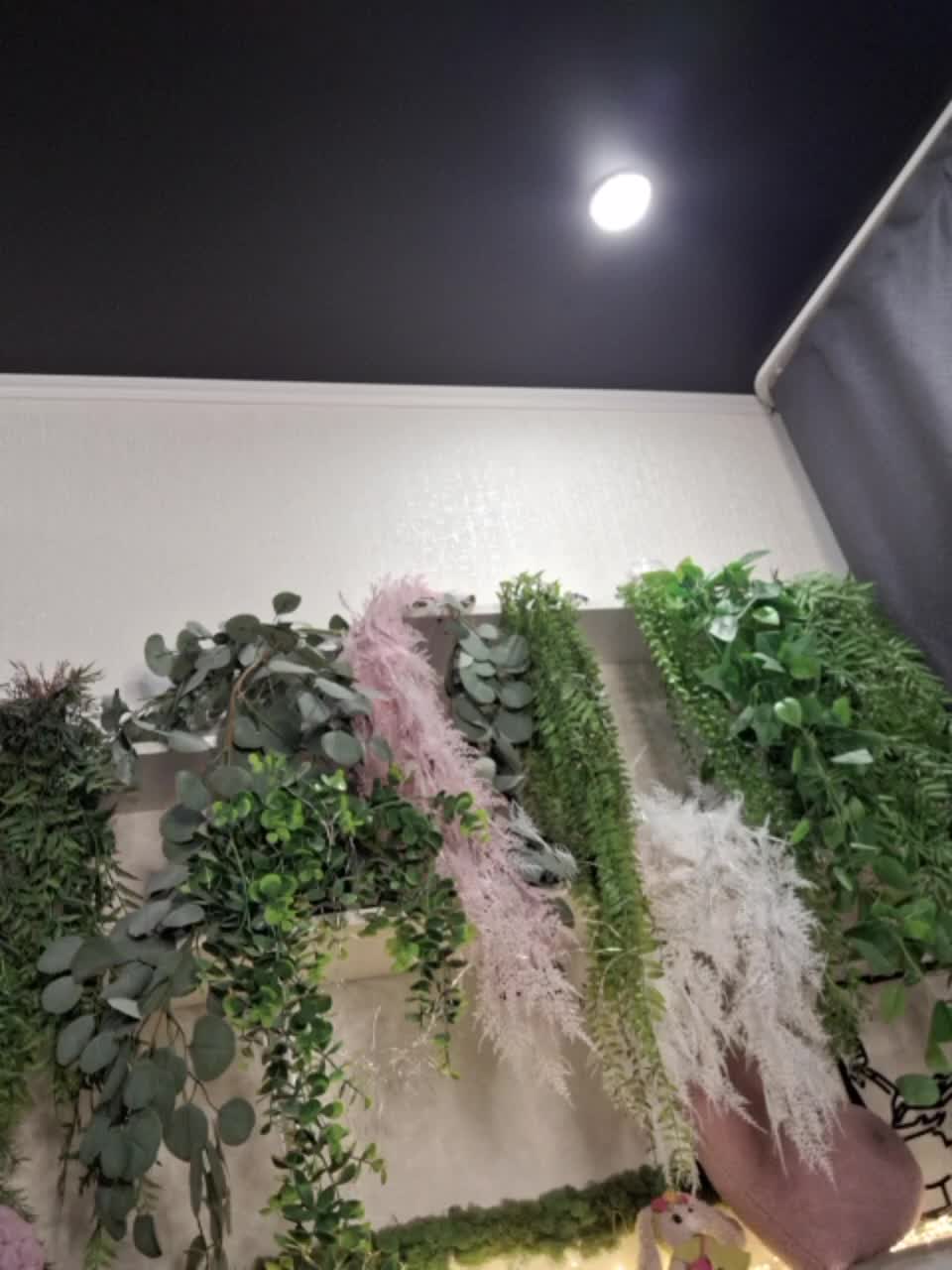 -scyrim- Live Sex December 18, 2025