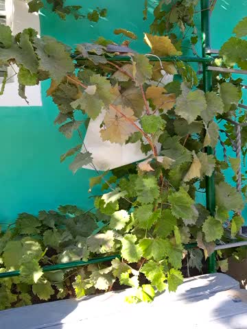 Miss_tits2025 Live Sex December 14, 2025