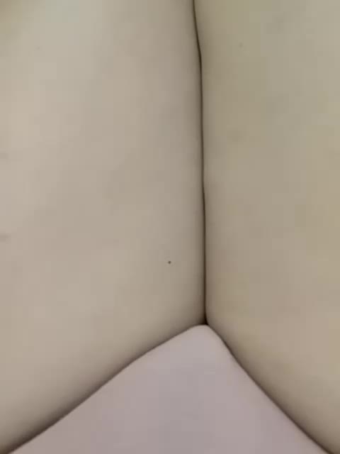 GolayaPravda Live Sex December 13, 2025