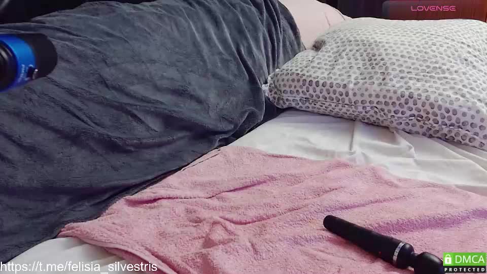 felisia_silvestris Live Sex December 17, 2025