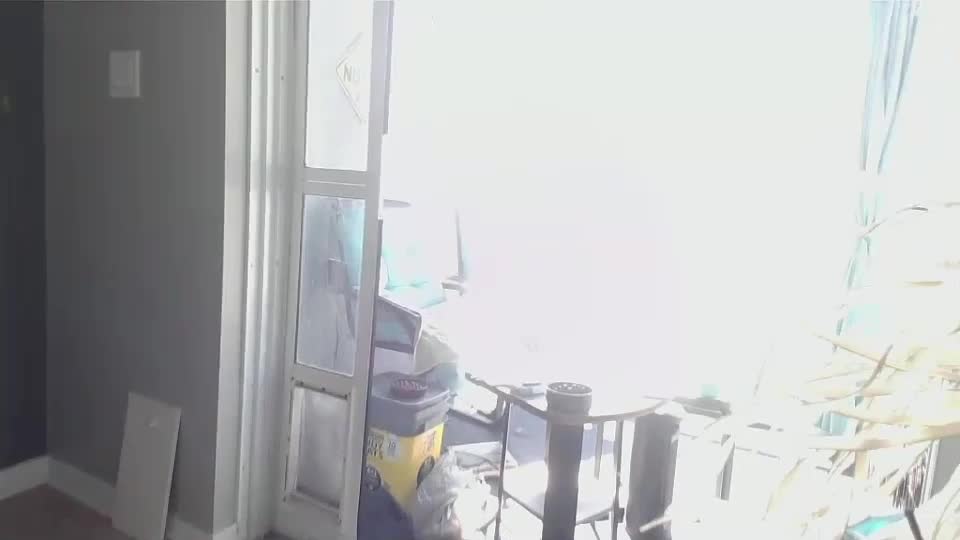 smallpenisbigtongue Live Sex December 17, 2025