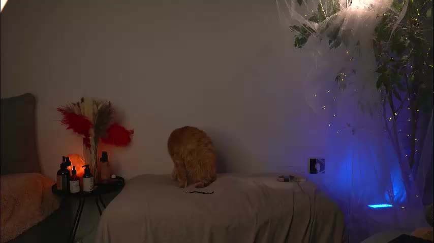 lorrie_love_story Live Sex December 13, 2025