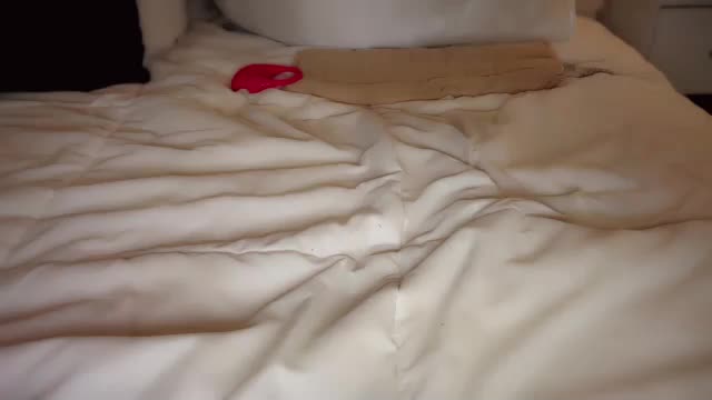 demontriaxx Live Sex December 15, 2025