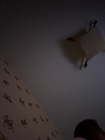 Rinaaamur Live Sex September 30, 2025