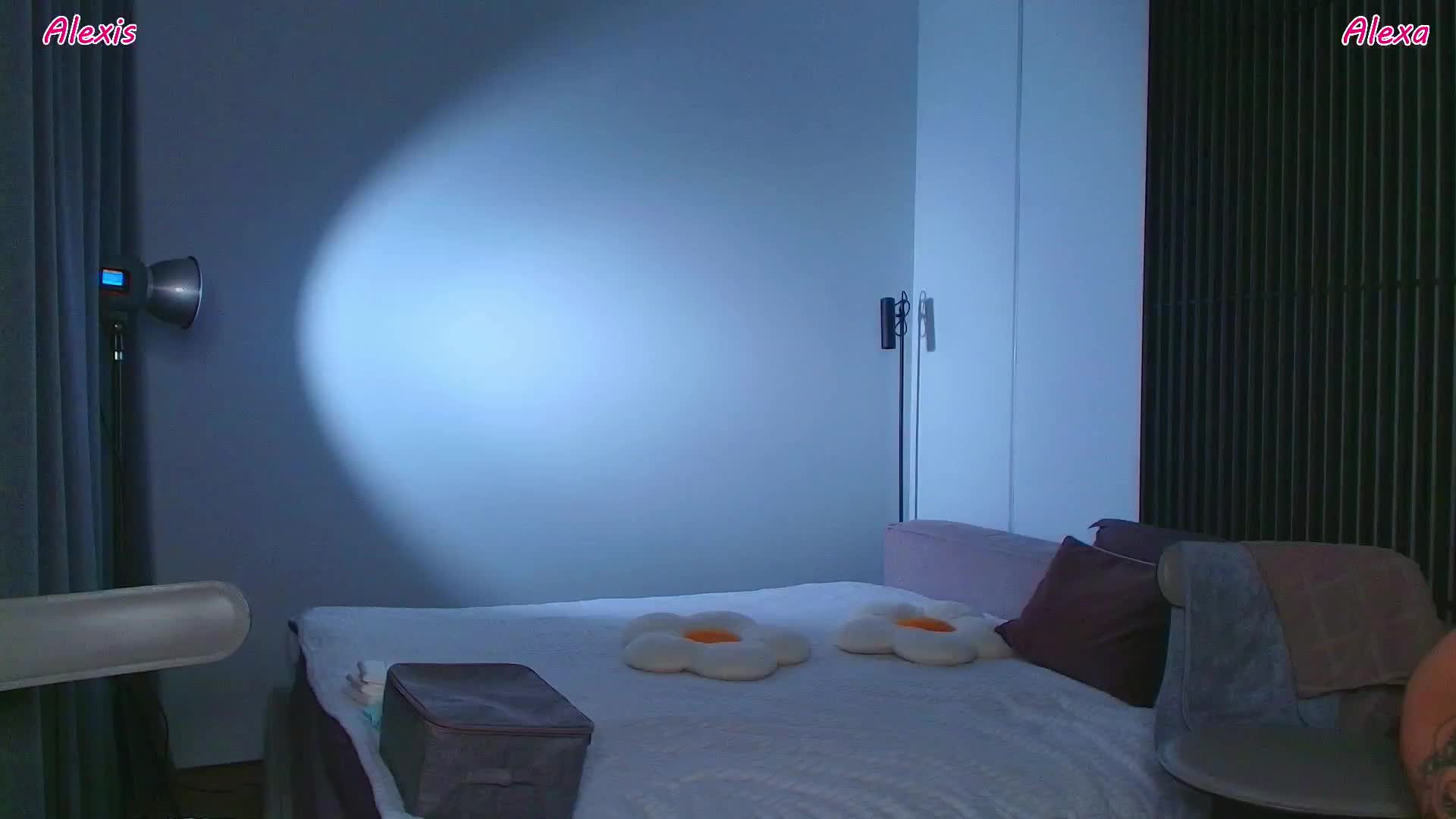 AlexisGrays Live Sex December 19, 2025