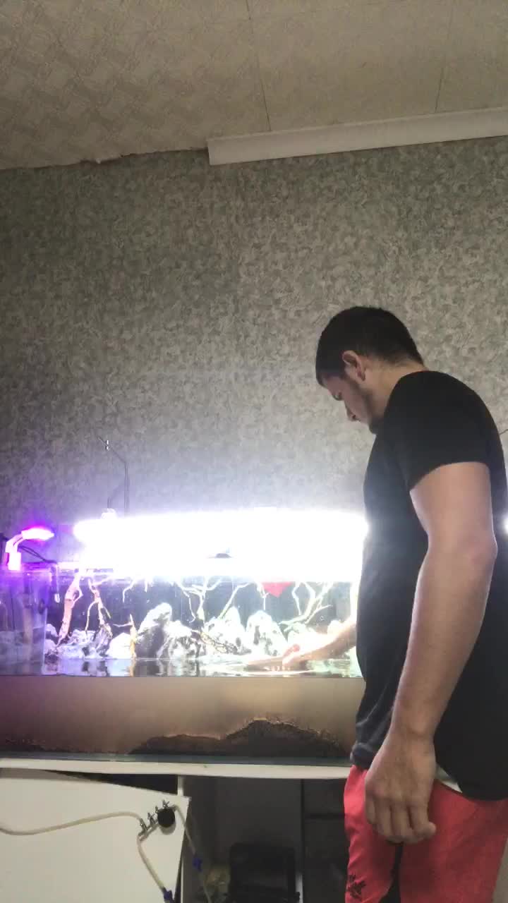 Sexicoupl Live Sex December 14, 2025