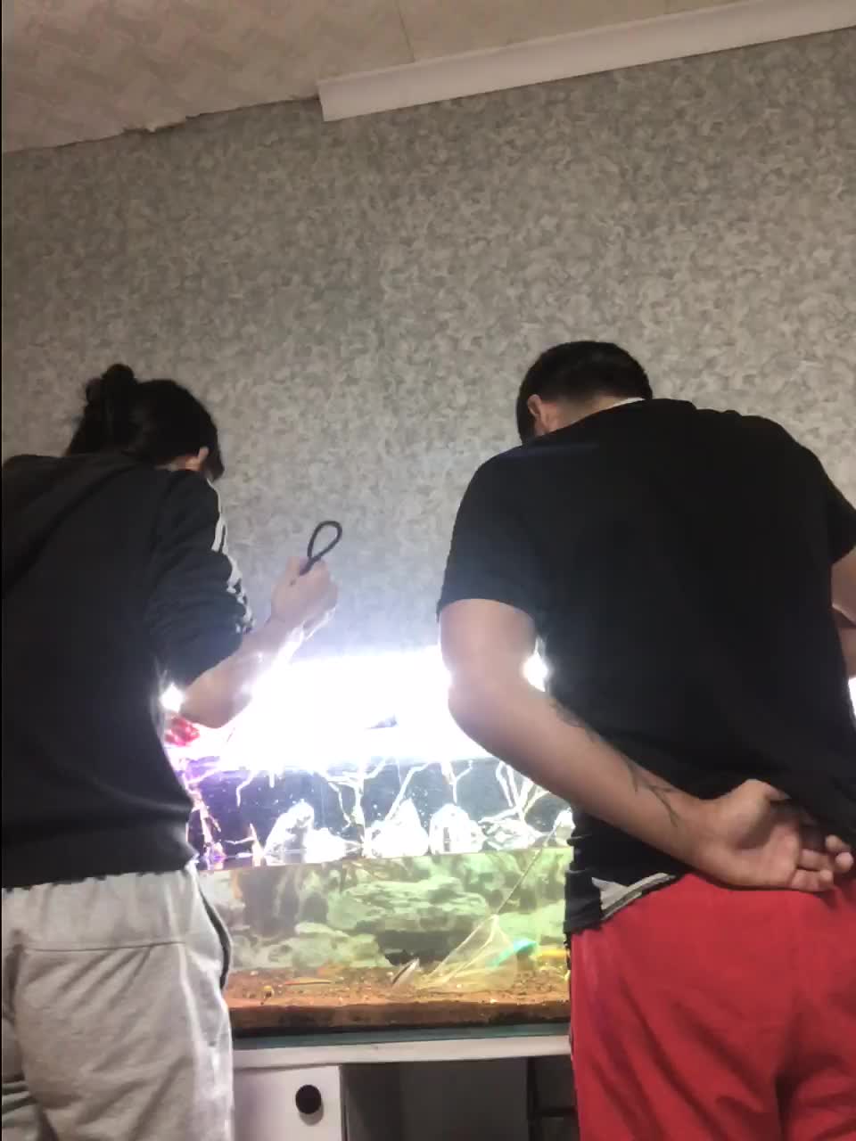 Sexicoupl Live Sex December 14, 2025