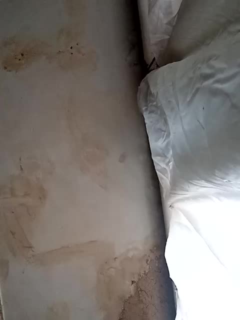 ericakat Live Sex October 1, 2025