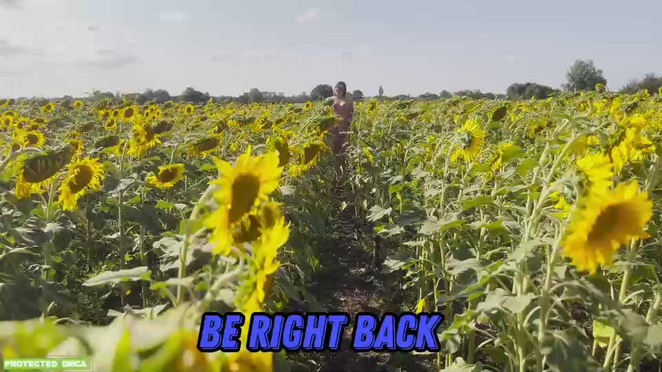 sunflower0907 Live Sex December 14, 2025