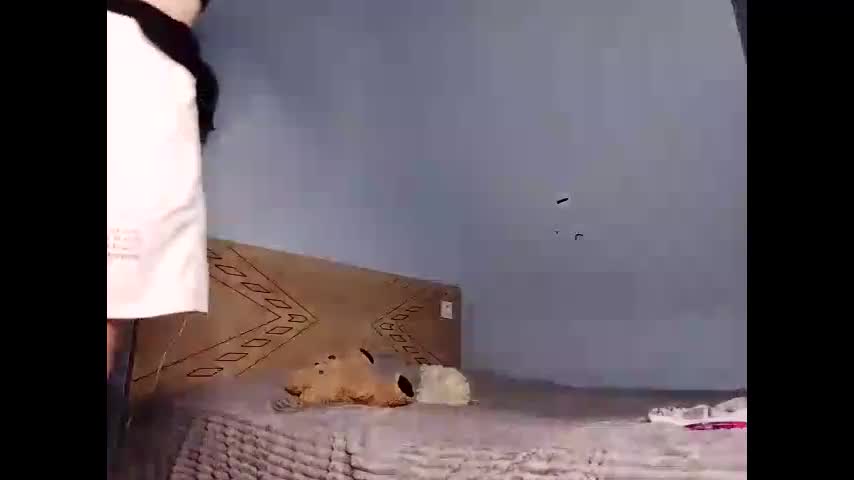 lesyawhite Live Sex December 14, 2025