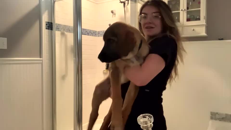 intothewoodswego Live Sex October 2, 2025