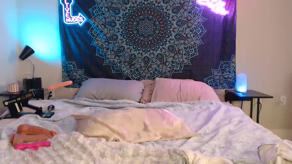 petitegirluvsdick Live Sex December 14, 2025