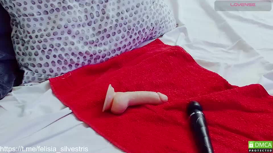 felisia_silvestris Live Sex December 17, 2025