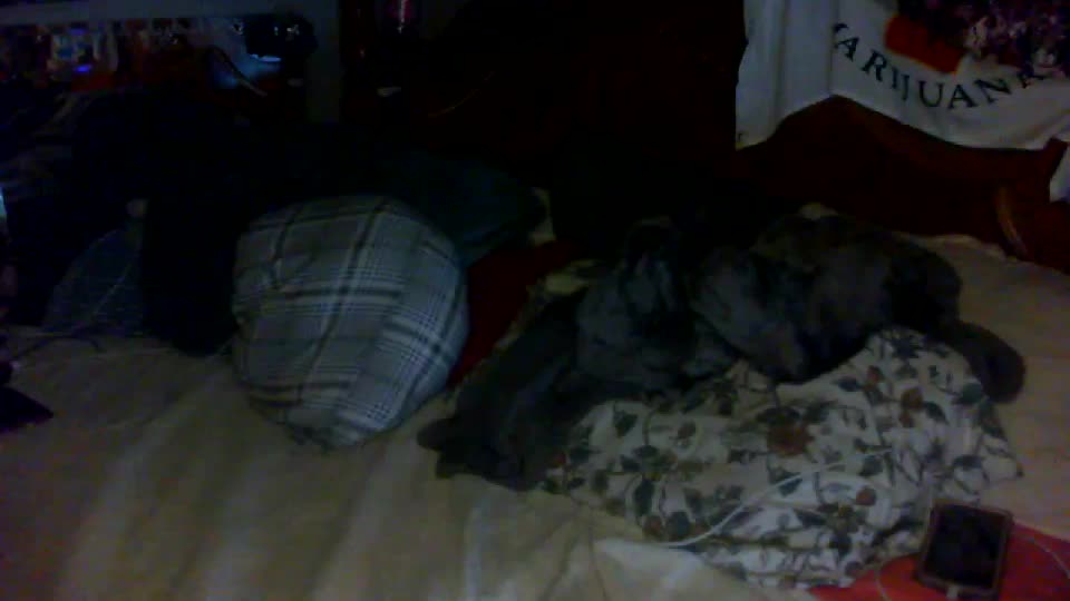 dreaded_folks Live Sex December 13, 2025