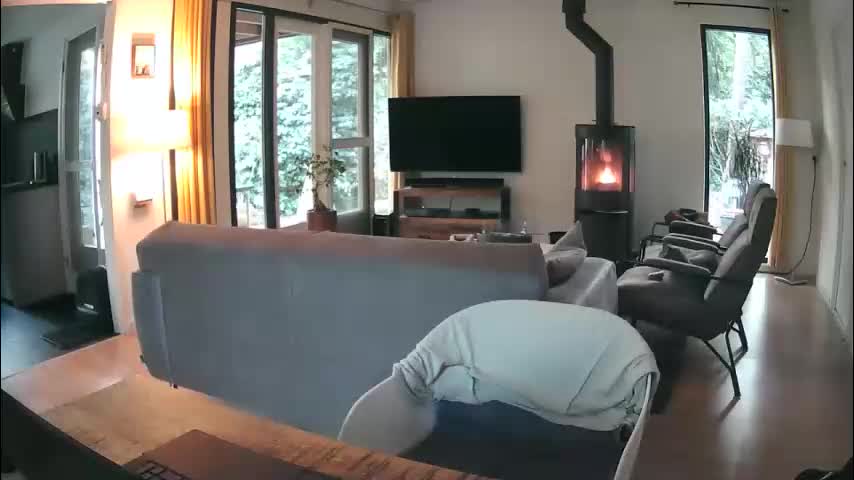 woodwurm Live Sex December 19, 2025