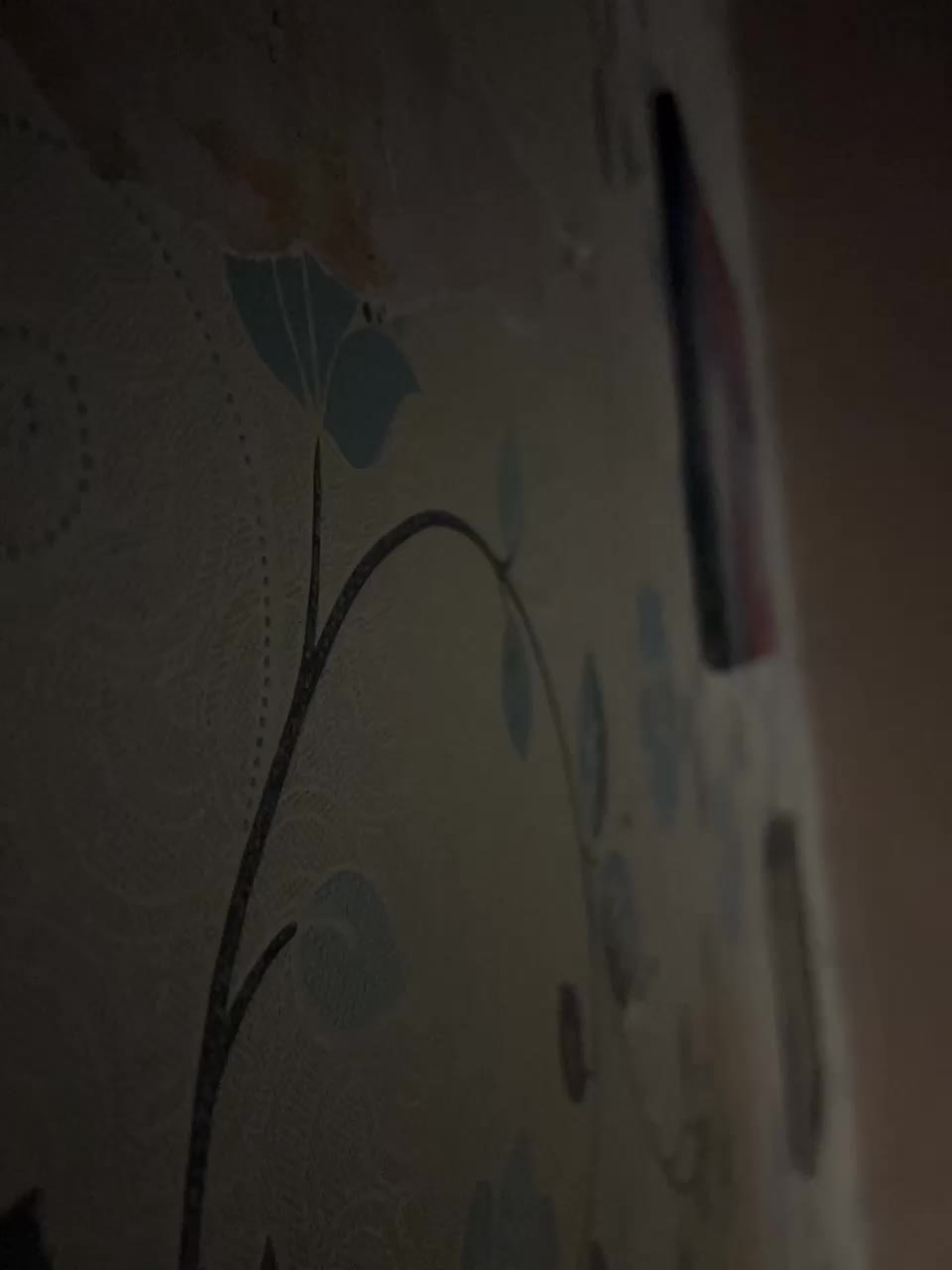 Aleks3012 Live Sex December 14, 2025