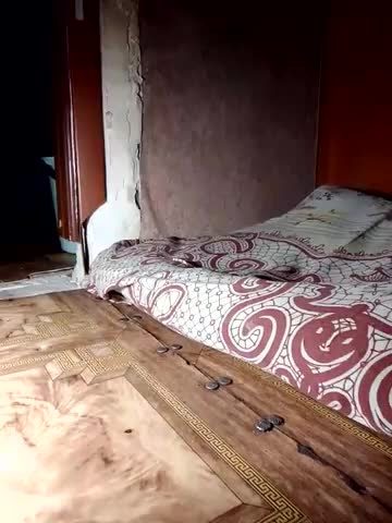 Holly_Bette Live Sex December 14, 2025