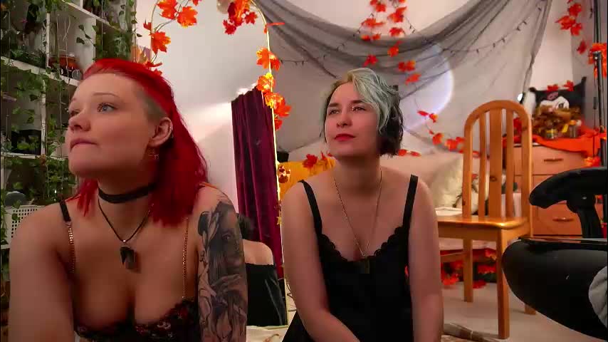 fox_and_dog Live Sex December 13, 2025