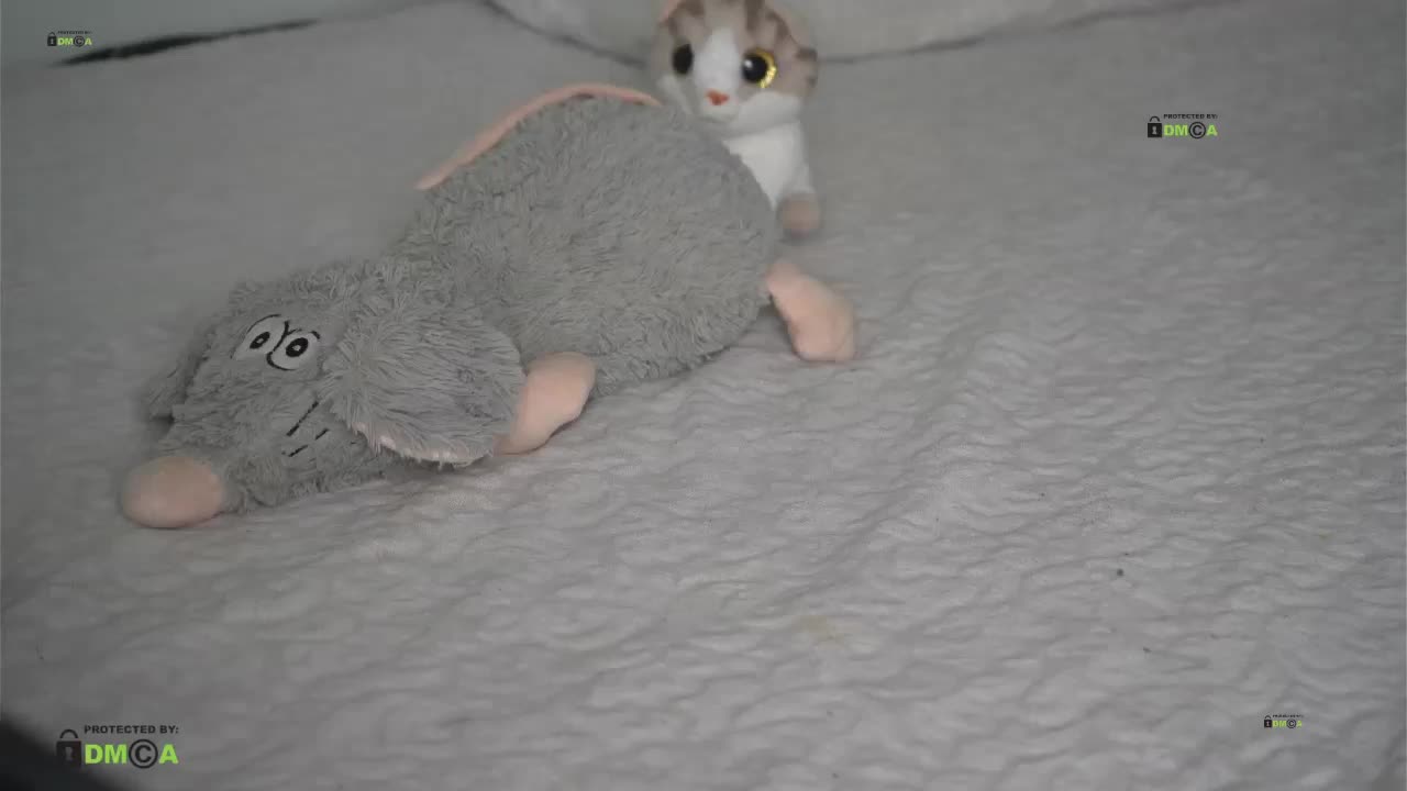 LornaParty Live Sex December 13, 2025