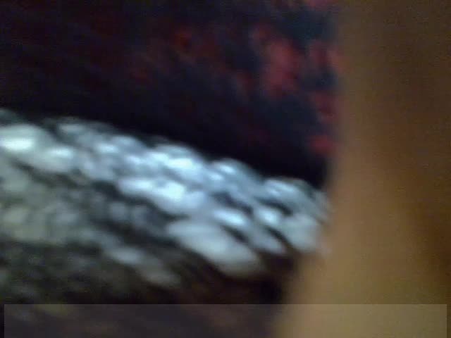 SanLuna Live Sex December 15, 2025