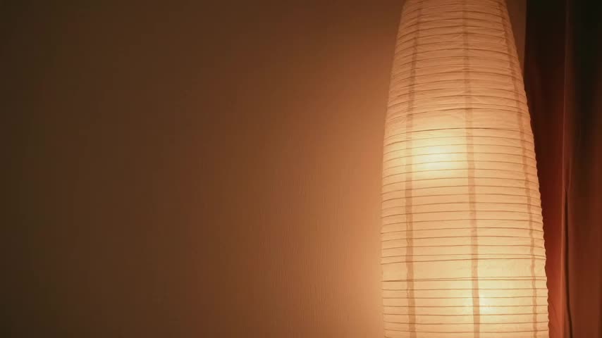 STANOVAYA300KG Live Sex December 17, 2025