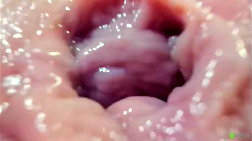 courtney_luv Live Sex December 13, 2025