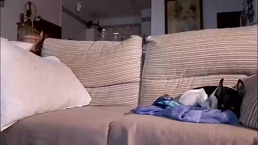 lolahueso Live Sex December 18, 2025