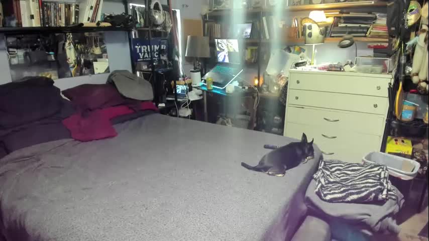 pink_black Live Sex December 18, 2025