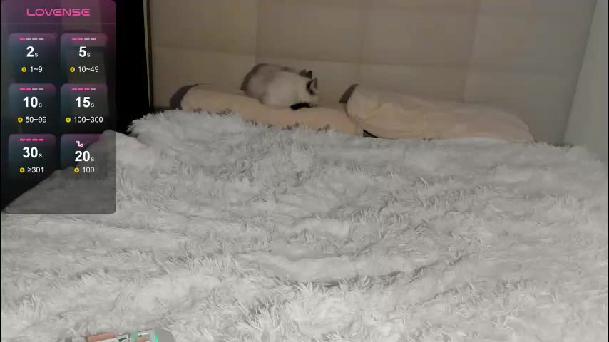 tune_godness Live Sex 2025.10.04