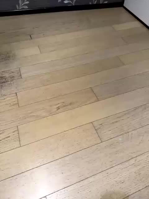 Belladonna-5 Live Sex December 14, 2025