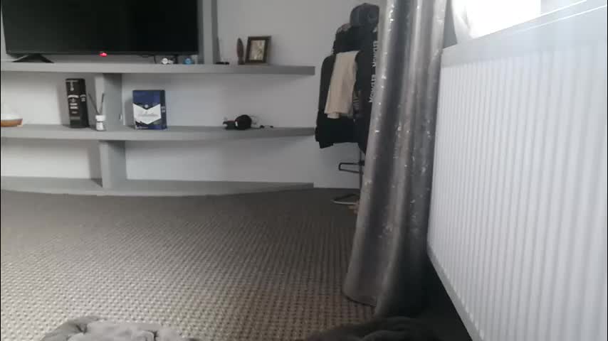 crazybrenda89 Live Sex December 14, 2025