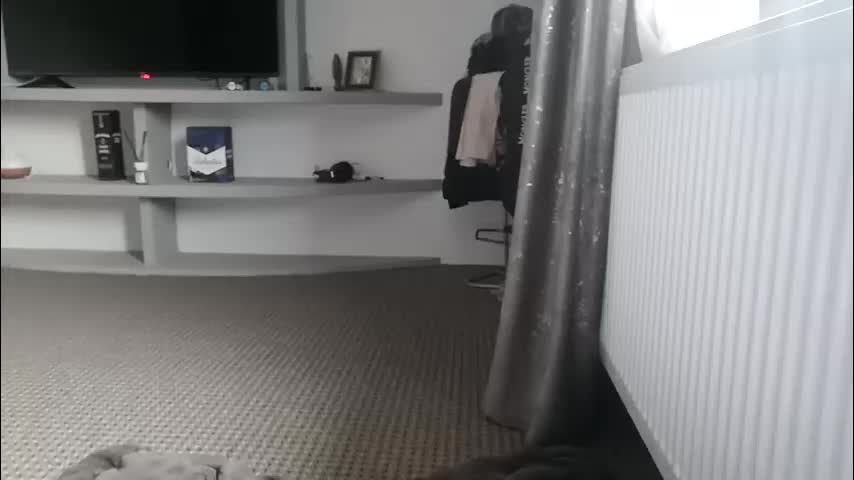 crazybrenda89 Live Sex December 14, 2025