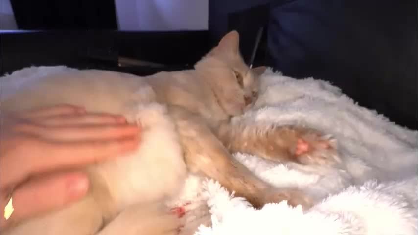 ameliamber0 Live Sex December 14, 2025