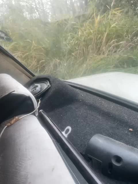 q2za34 Live Sex October 4, 2025