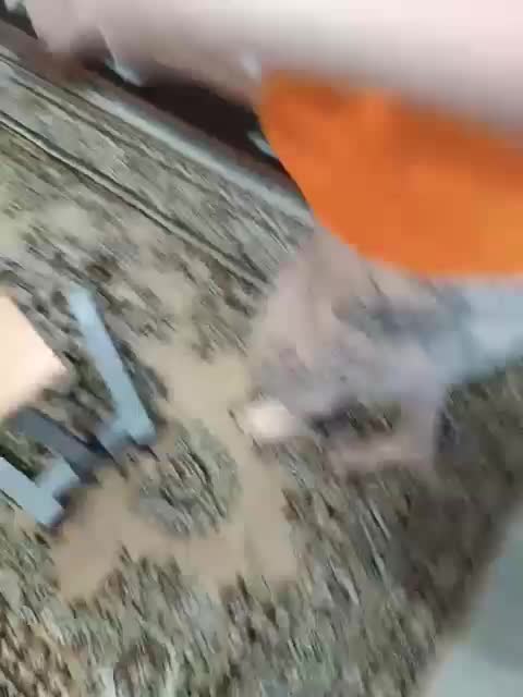 SexyCouple69 Live Sex December 15, 2025