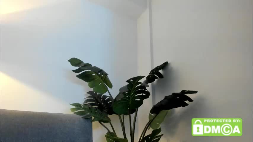 ashllovee_ Live Sex December 13, 2025