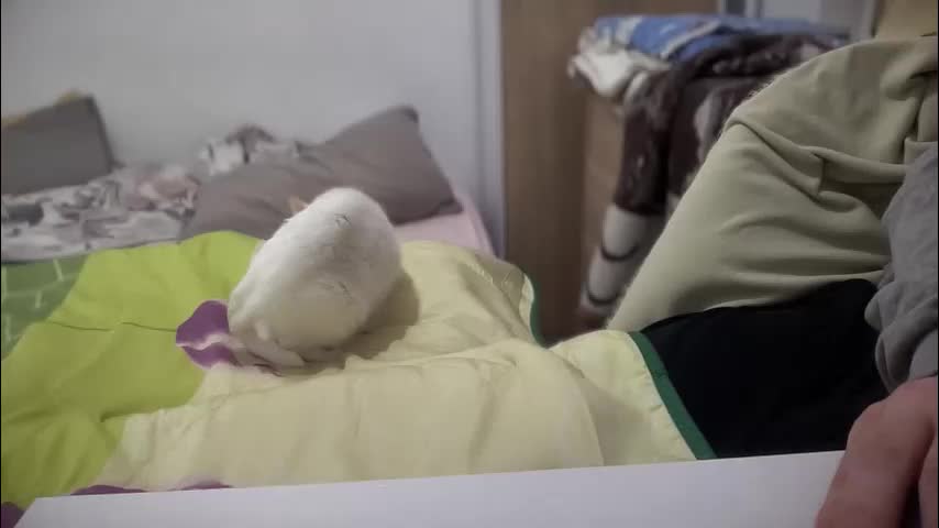 rosea_champagne Live Sex December 17, 2025