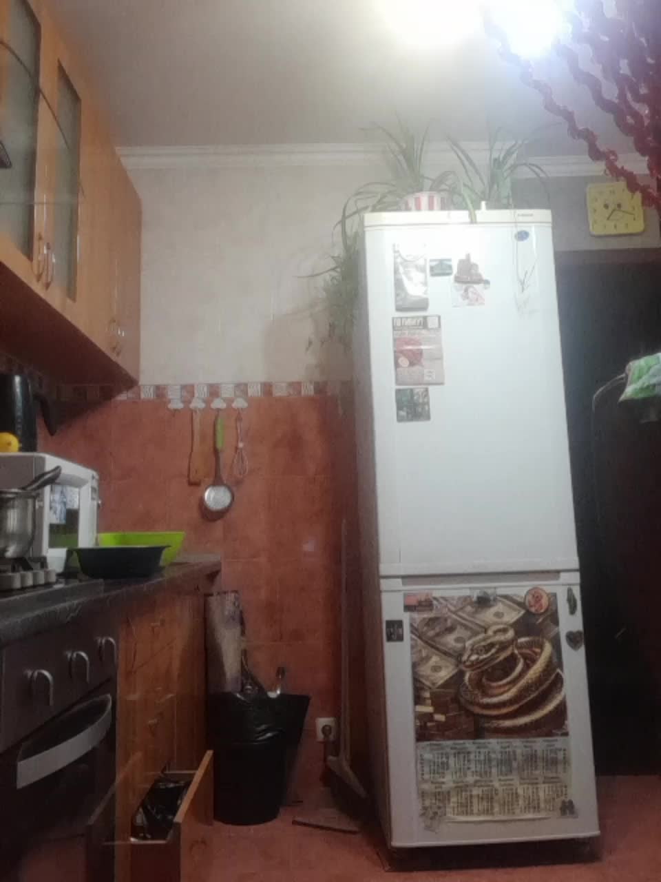 N-I-M-F-O-M-A-N-K-A Live Sex December 18, 2025