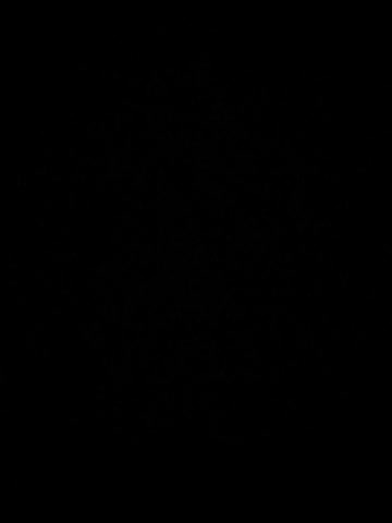 Kotik0690 Live Sex December 13, 2025