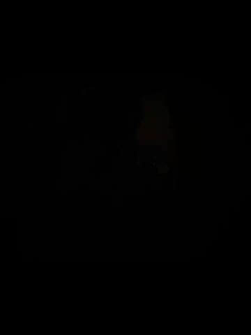 Kotik0690 Live Sex December 13, 2025