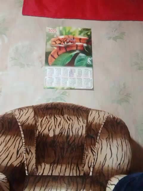 Calibriya Live Sex December 17, 2025