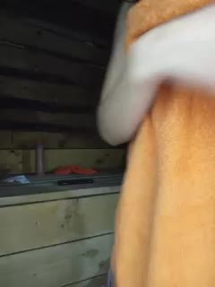 MsHsFuck Live Sex December 14, 2025