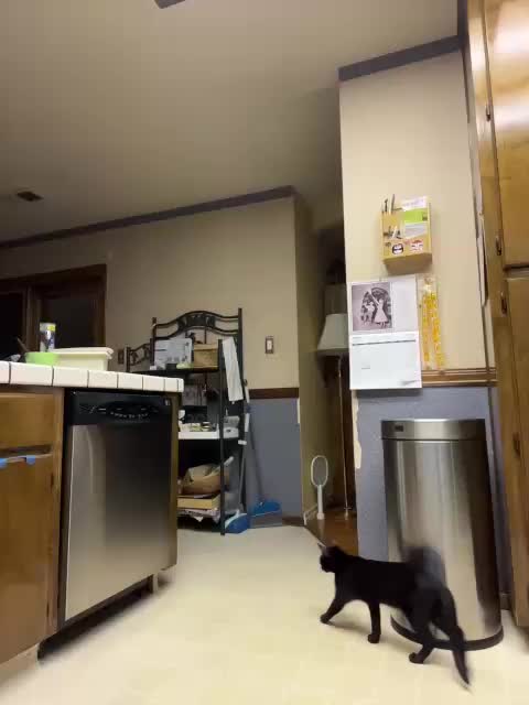 PrurientGem Live Sex December 13, 2025