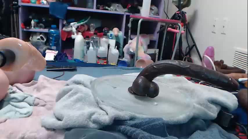 animergamergirl Live Sex December 17, 2025