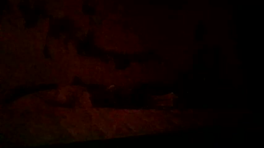 lacybell Live Sex December 14, 2025