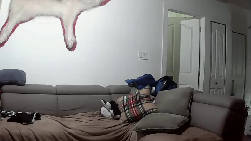 lolalixx6969 Live Sex December 13, 2025