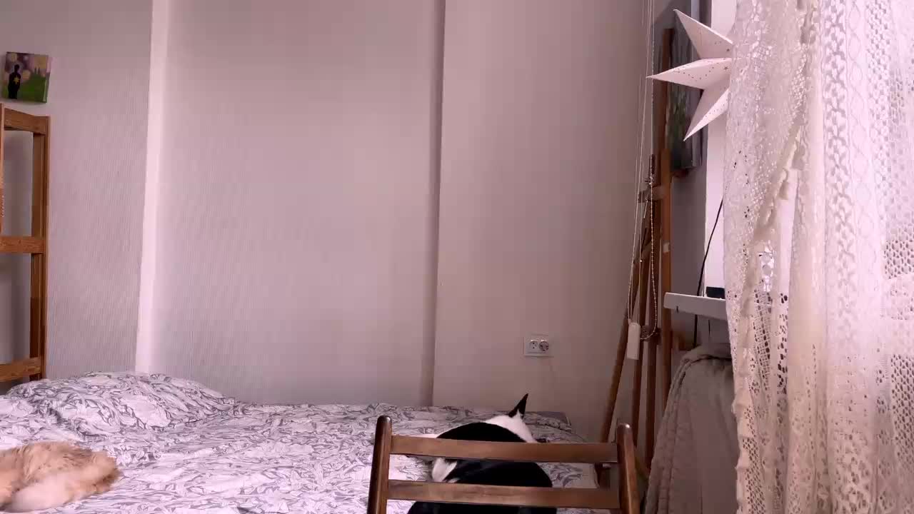 AlmetaGentili Live Sex December 12, 2025