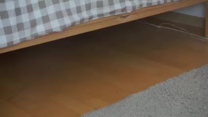 DerzhiChlen Live Sex December 13, 2025