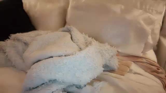 demontriaxx Live Sex December 15, 2025