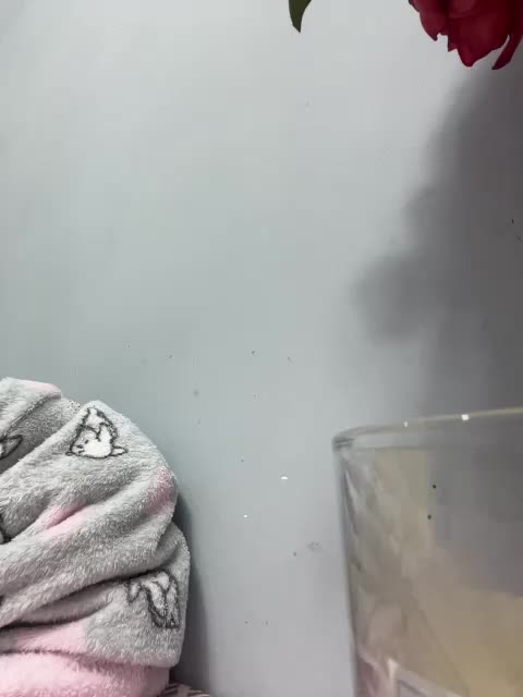 CuteKitty00 Live Sex December 13, 2025